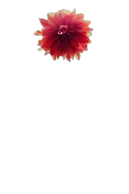 flower, crown, jewelry, staff transparent PNG cut-out