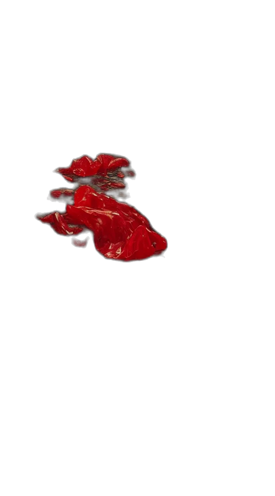 shoes, jewelry, food, crown transparent PNG cut-out