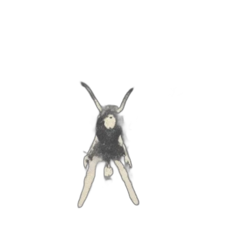 jewelry, creature, animal, robot transparent PNG cut-out