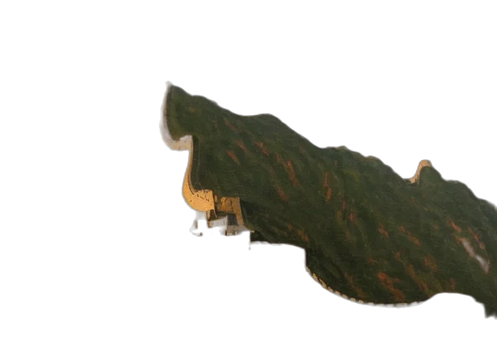 dragon, animal, creature, hat transparent PNG cut-out