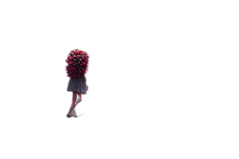 hair, dress, flower, umbrella transparent PNG cut-out