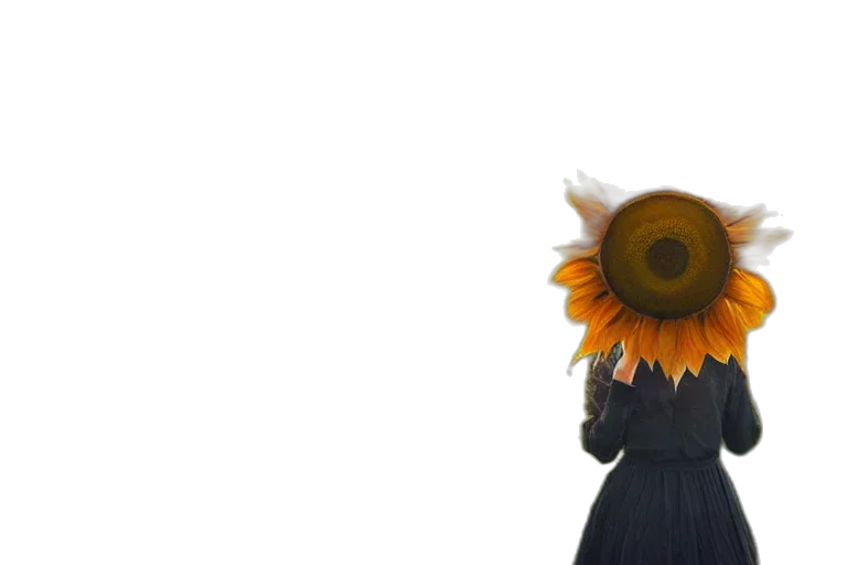 flower, dress, crown, hat transparent PNG cut-out