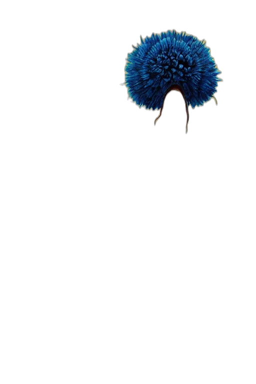 hair, hat, umbrella, creature transparent PNG cut-out