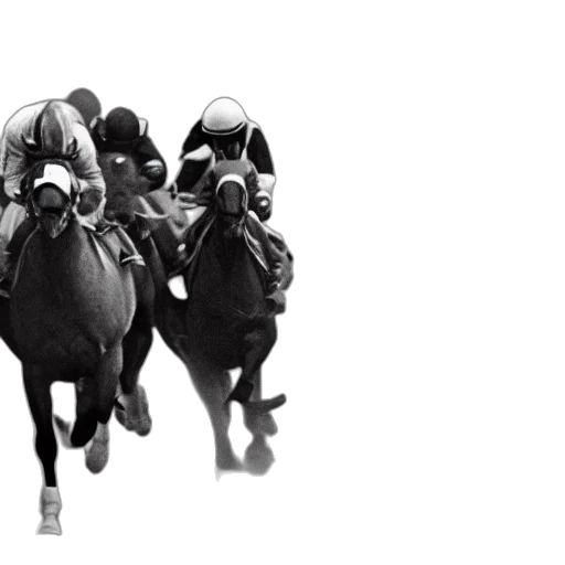 horses, racing, against, cars transparent PNG cut-out