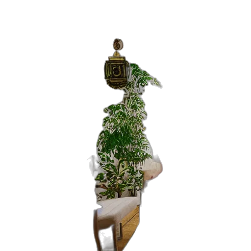 crown, staff, bottle, tree transparent PNG cut-out