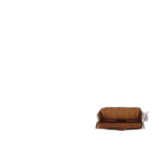 furniture, shoes, animal, hair transparent PNG cut-out