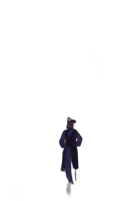 staff, jacket, dress, hat transparent PNG cut-out