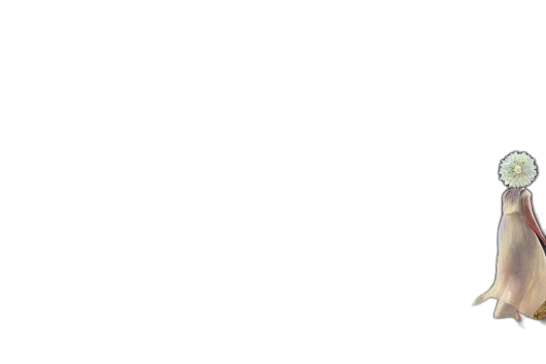 staff, face, monochrome, pastel transparent PNG cut-out