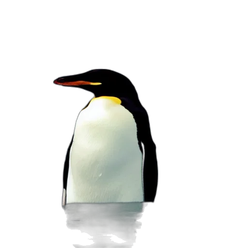 animal, creature, hat, staff transparent PNG cut-out