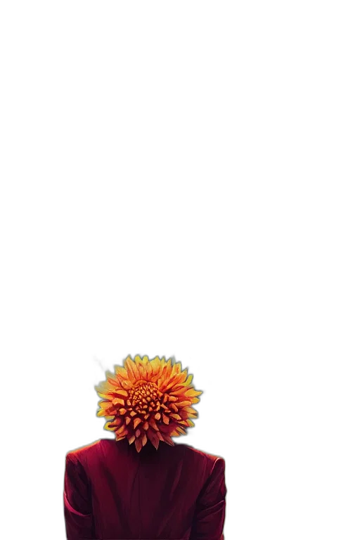 flower, hair, crown, staff transparent PNG cut-out