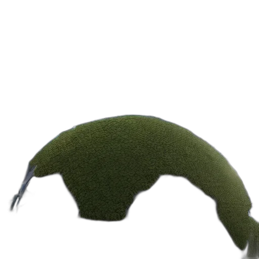 hat, hair, mask, creature transparent PNG cut-out