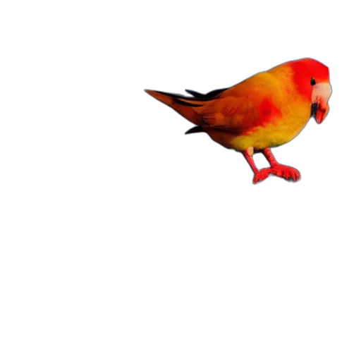 animal, food, creature, staff transparent PNG cut-out
