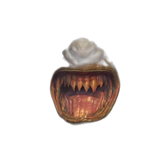 creature, food, animal, crown transparent PNG cut-out