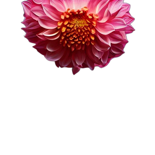 flower, crown, jewelry, staff transparent PNG cut-out