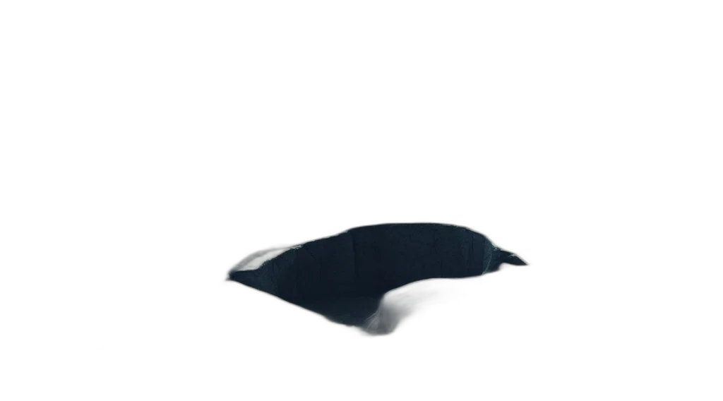 hat, mask, shoes, animal transparent PNG cut-out