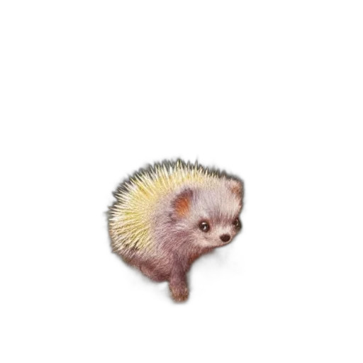 animal, creature, hair, hat transparent PNG cut-out