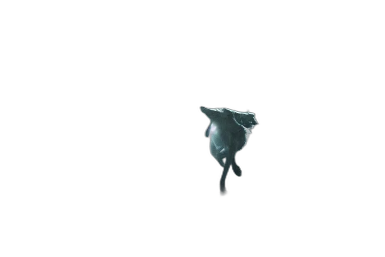 dragon, creature, animal, mask transparent PNG cut-out