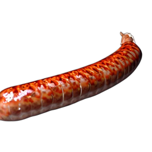 animal, food, creature, dragon transparent PNG cut-out