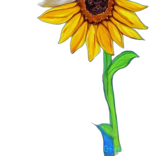 flower, staff, umbrella, weapon transparent PNG cut-out