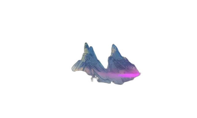 shoes, weapon, dragon, crown transparent PNG cut-out