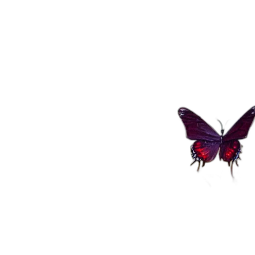 flower, animal, creature, crown transparent PNG cut-out