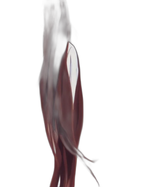 hair, creature, shoes, dress transparent PNG cut-out