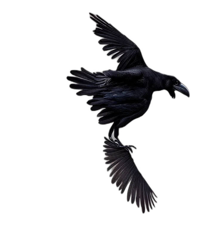 animal, creature, staff, dragon transparent PNG cut-out