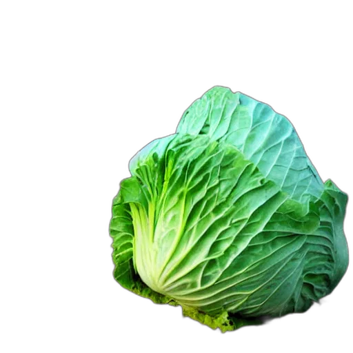 food, animal, weapon, face transparent PNG cut-out