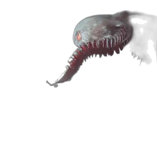 creature, animal, dragon, hair transparent PNG cut-out