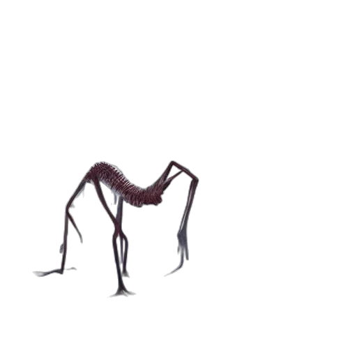 creature, hair, animal, shoes transparent PNG cut-out