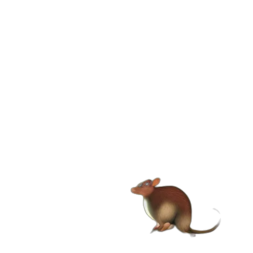 animal, creature, hat, food transparent PNG cut-out