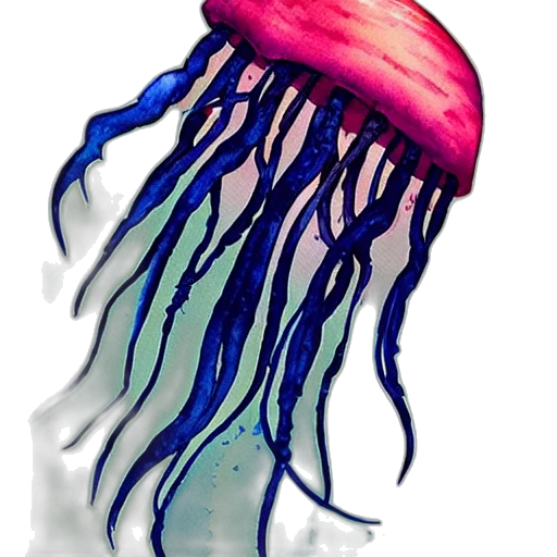 hair, creature, animal, hat transparent PNG cut-out