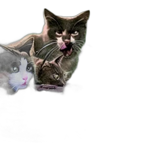 photorealistic, 3d render, concept art, cats transparent PNG cut-out