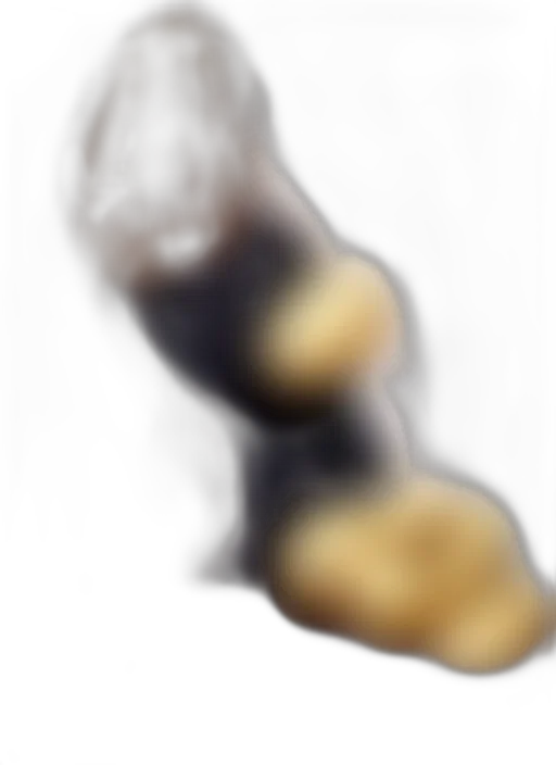 hair, shoes, food, animal transparent PNG cut-out