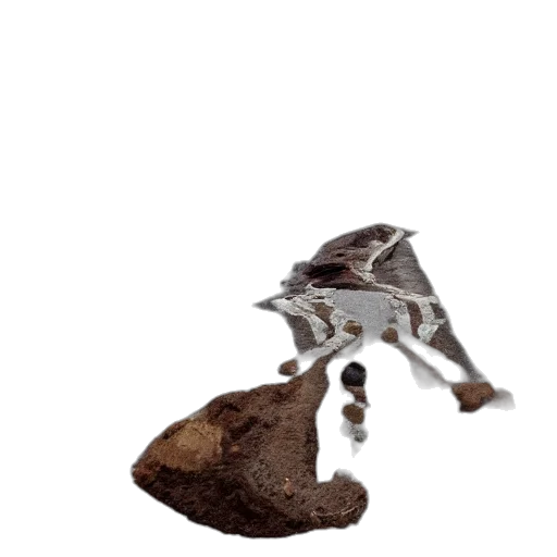 robot, weapon, hat, shoes transparent PNG cut-out