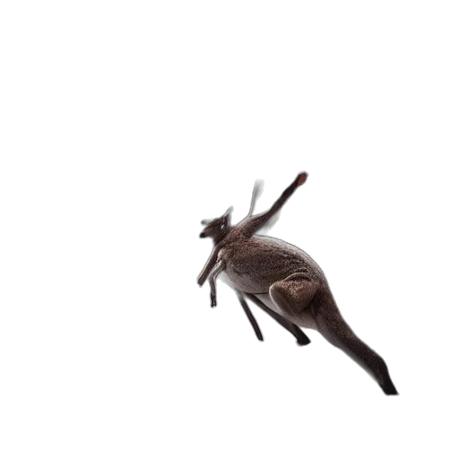 dragon, animal, creature, hair transparent PNG cut-out