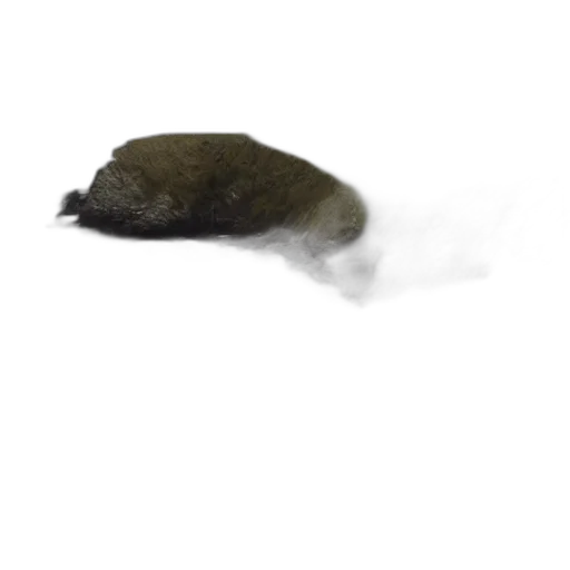hat, animal, hair, creature transparent PNG cut-out
