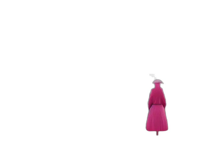 dress, hat, umbrella, jacket transparent PNG cut-out