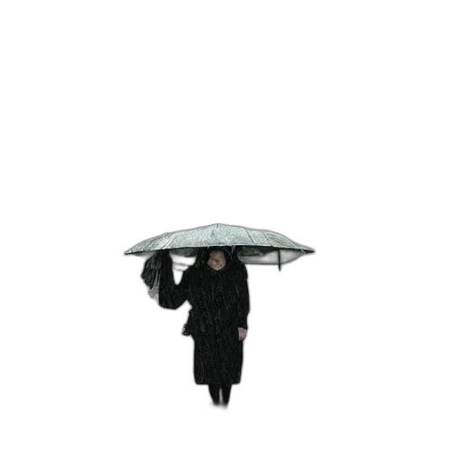 umbrella, hat, jacket, dress transparent PNG cut-out