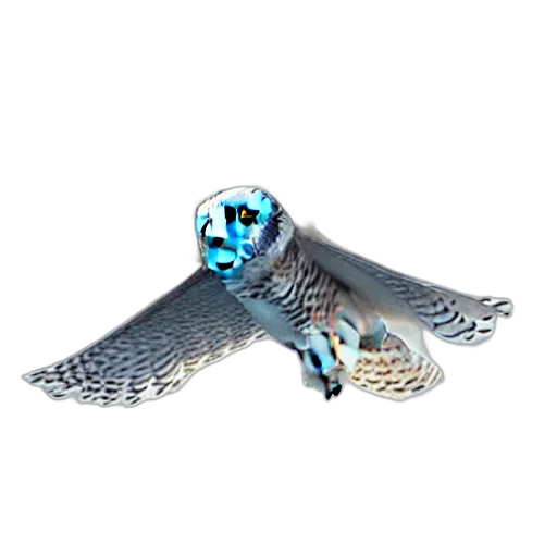 jewelry, weapon, animal, staff transparent PNG cut-out