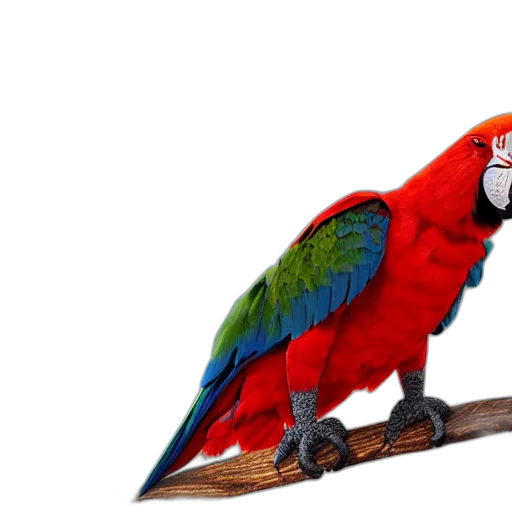 animal, staff, jewelry, weapon transparent PNG cut-out