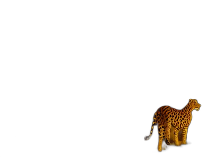 animal, creature, hair, furniture transparent PNG cut-out
