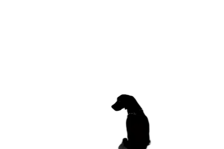 animal, creature, staff, hat transparent PNG cut-out