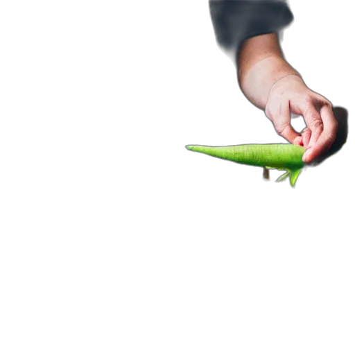 food, weapon, staff, sword transparent PNG cut-out