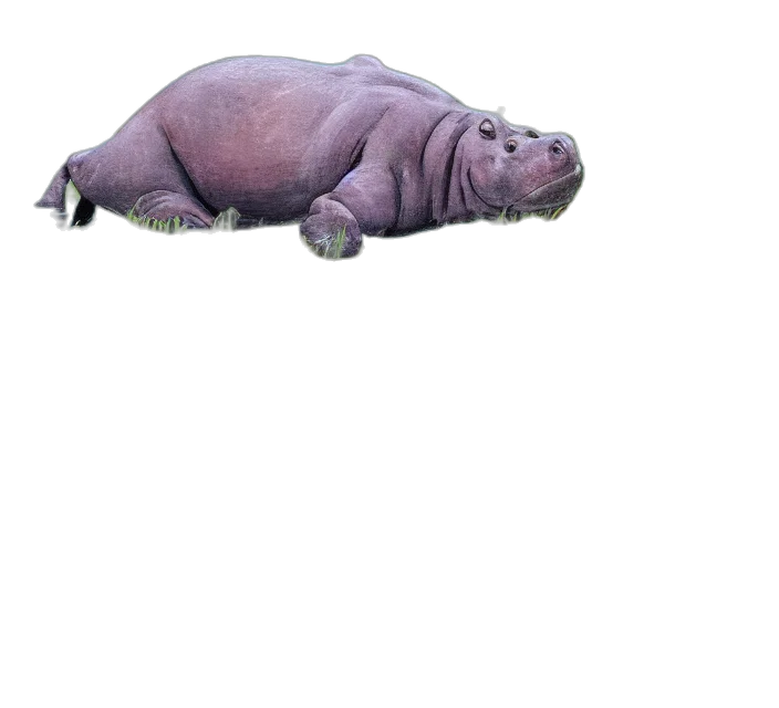 animal, creature, dragon, food transparent PNG cut-out