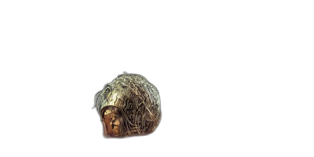 crown, jewelry, hair, hat transparent PNG cut-out