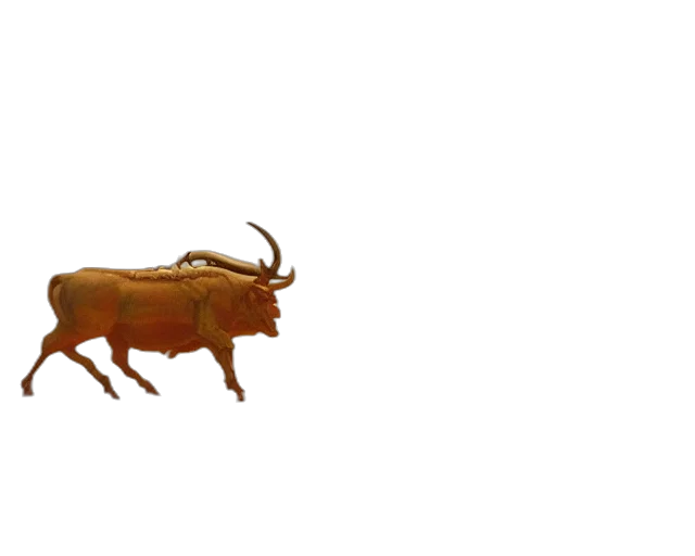 animal, creature, dragon, food transparent PNG cut-out