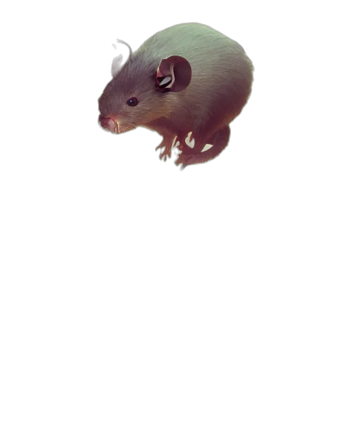 animal, creature, dragon, weapon transparent PNG cut-out