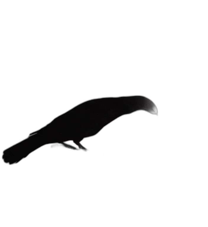 animal, creature, staff, hair transparent PNG cut-out