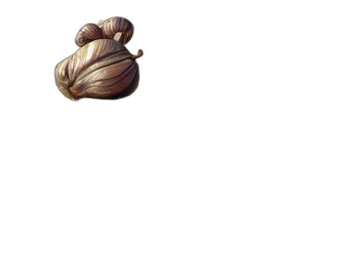 hair, flower, food, jewelry transparent PNG cut-out